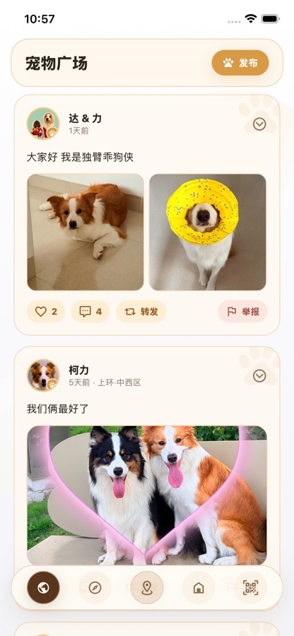宠物广场动态截图